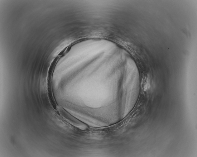 X0000112090292200909011110