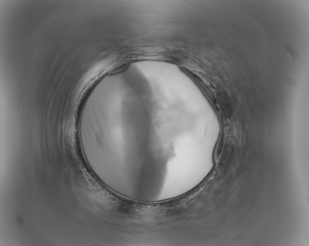 X0000112090293200909011110