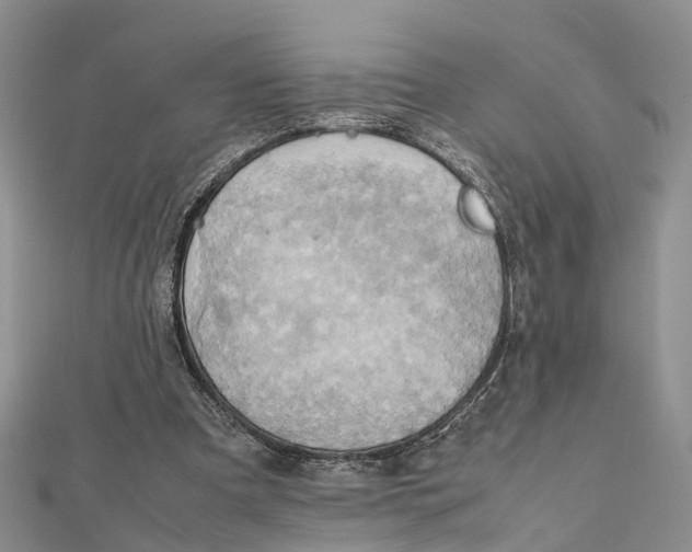 X0000112090297200909011110