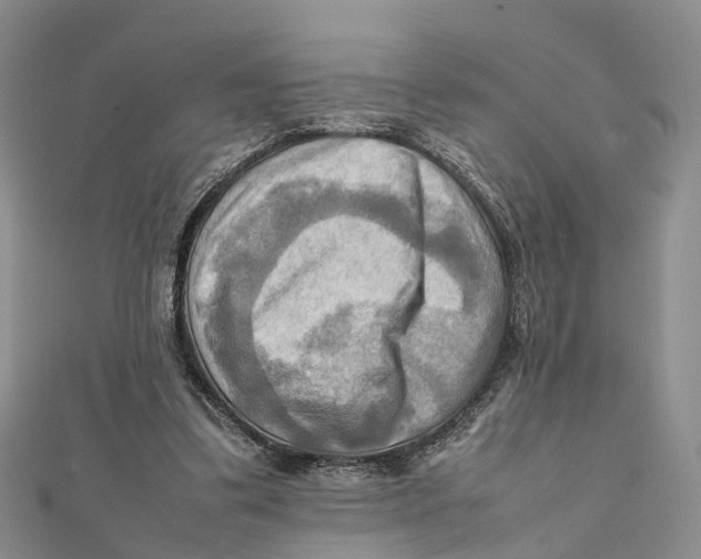 X0000112090299200909011110