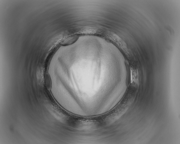 X0000112090300200909011110