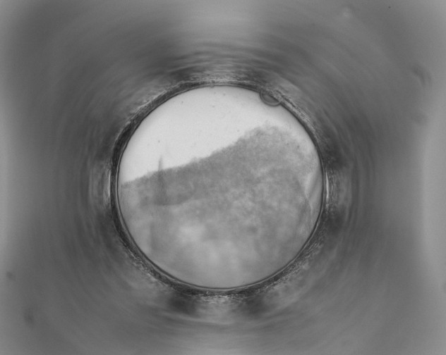 X0000112090301200909011110