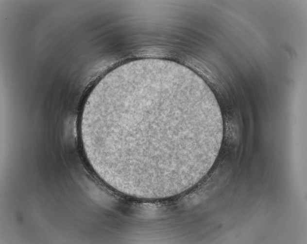 X0000112090302200909011110
