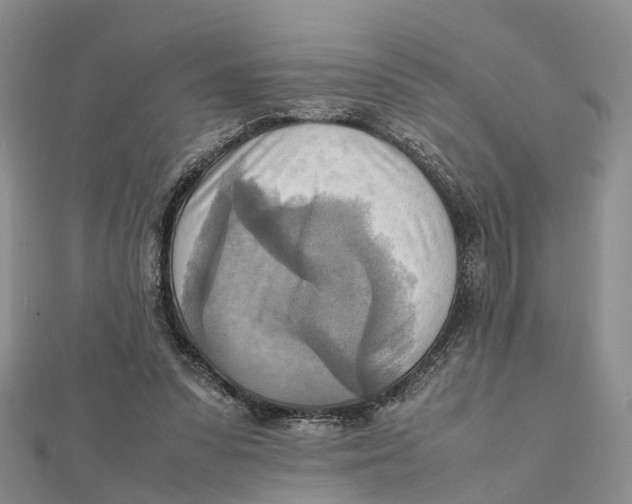 X0000112090303200909011110