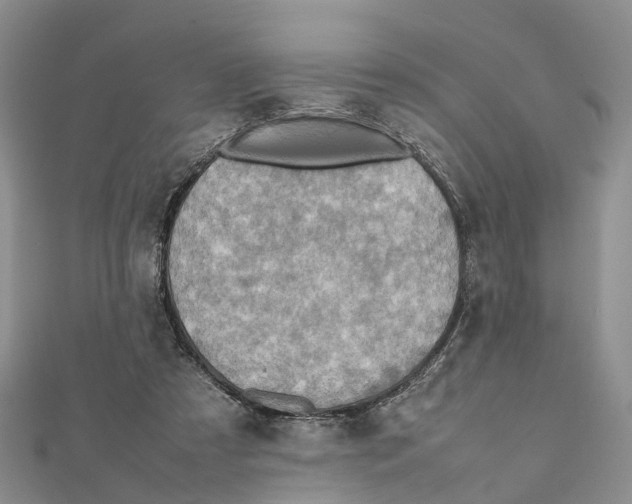 X0000112090305200909011109