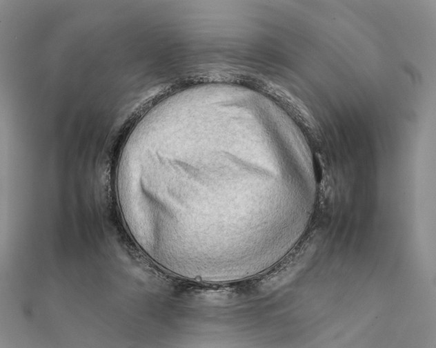 X0000112090306200909011109