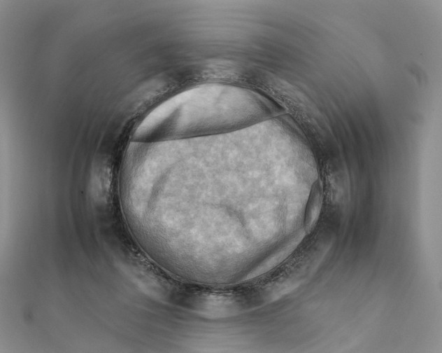 X0000112090308200909011109