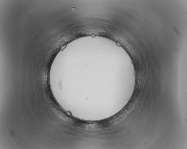 X0000112090309200909011109