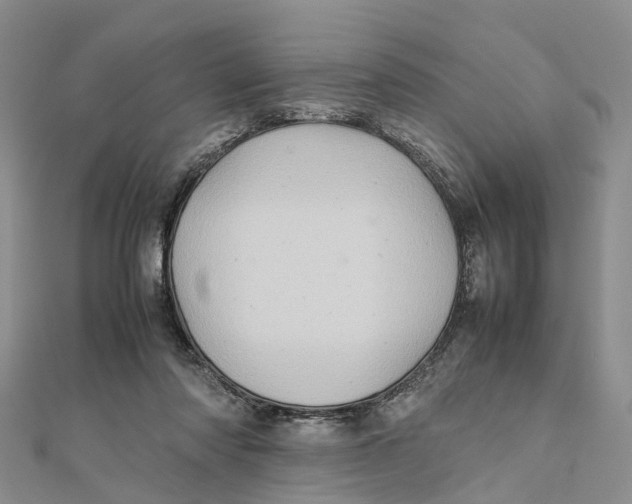 X0000112090310200909011109