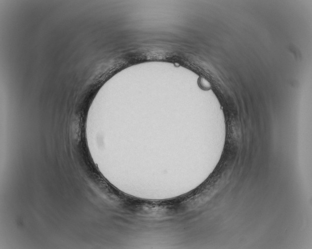 X0000112090311200909011109