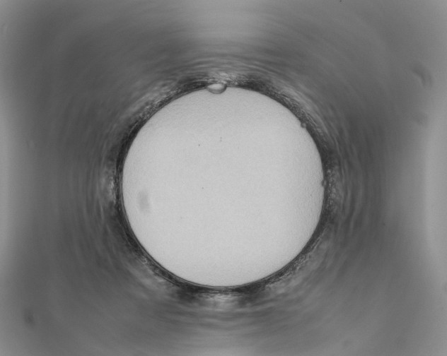 X0000112090313200909011109