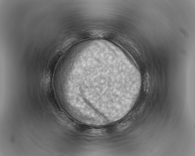 X0000112090314200909011109