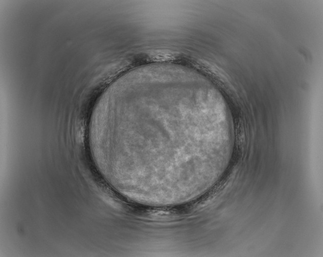X0000112090315200909011109