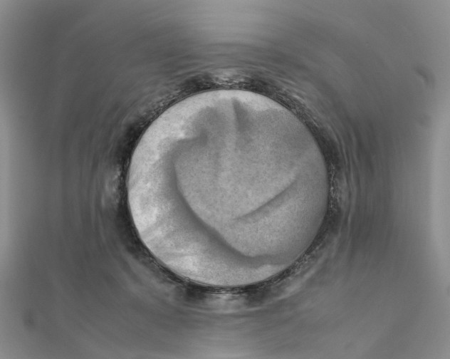 X0000112090319200909011109