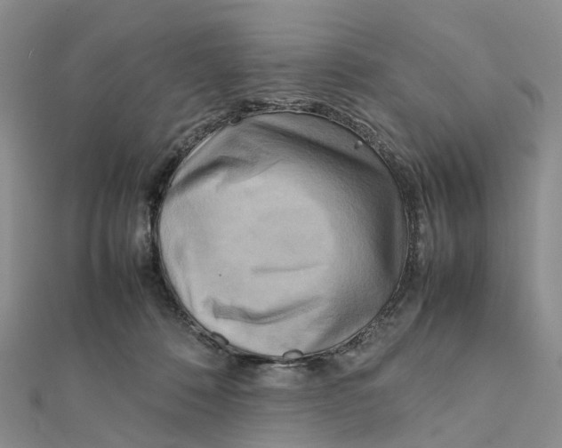 X0000112090320200909011109