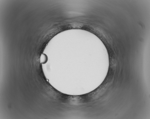X0000112090321200909011109