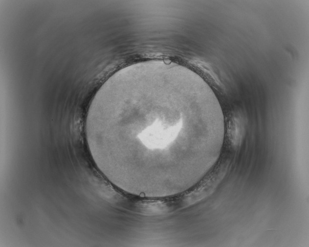 X0000112090322200909011109