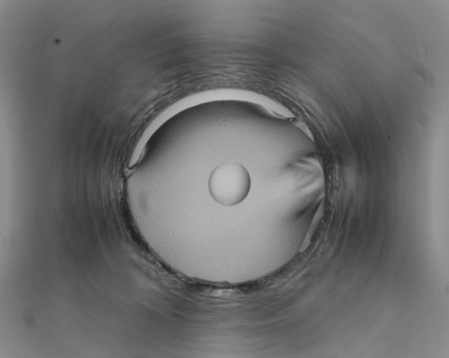 X0000112090324200909011109