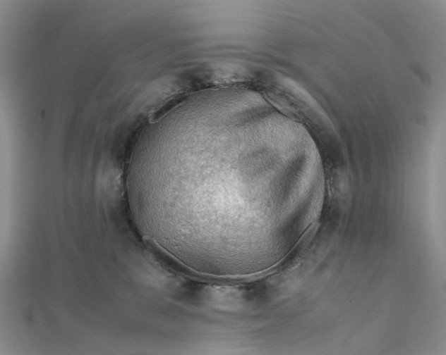 X0000112090327200909011109