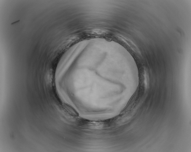 X0000112090328200909011109