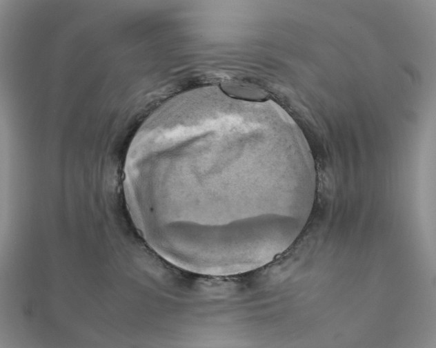 X0000112090331200909011109