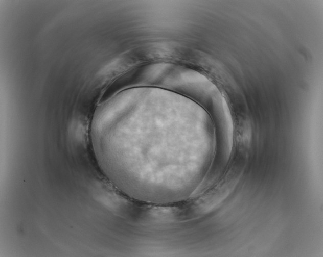 X0000112090332200909011109