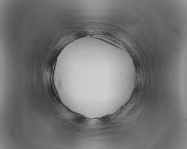X0000112090333200909011109