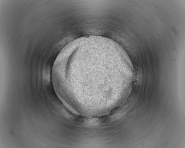 X0000112090334200909011109