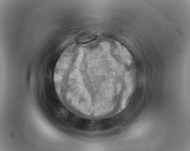 X0000112090335200909011109