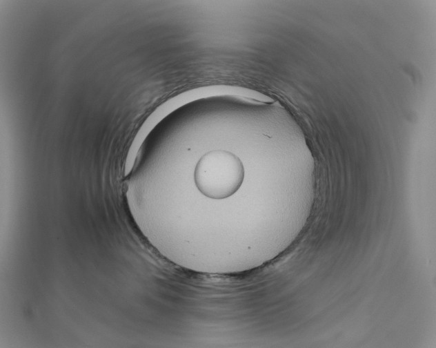 X0000112090336200909011109