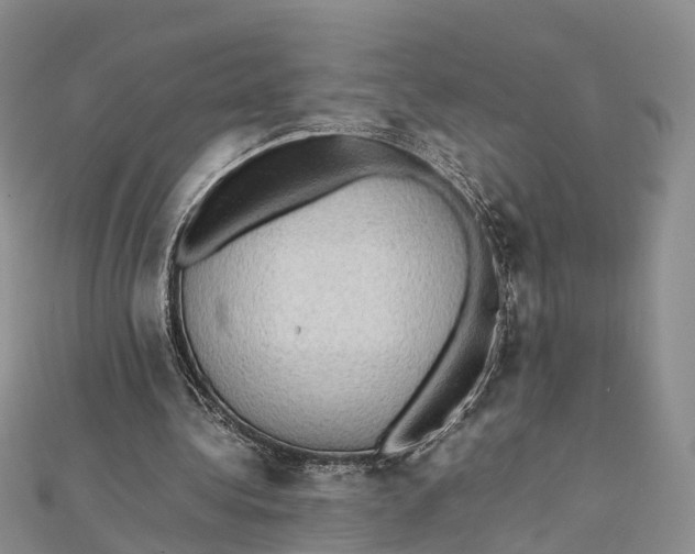 X0000112090340200909011109