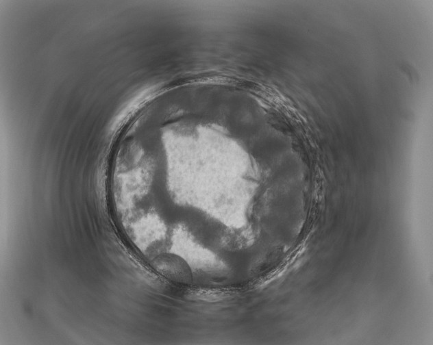 X0000112090341200909011109