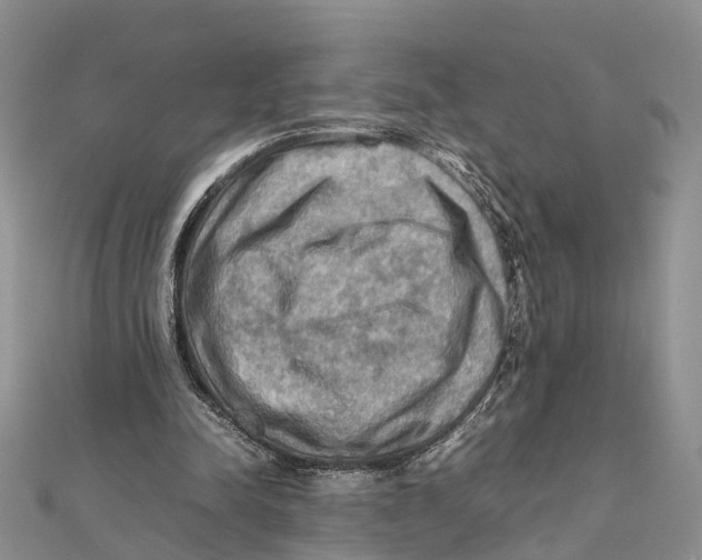 X0000112090342200909011109