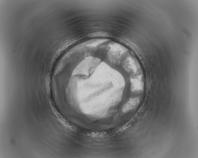 X0000112090345200909011109