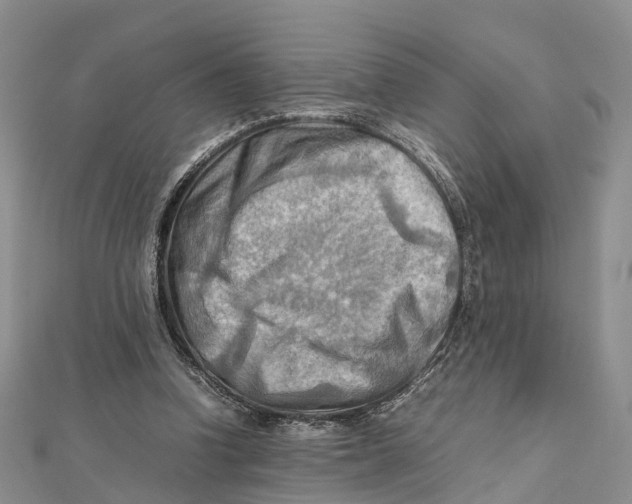 X0000112090346200909011109
