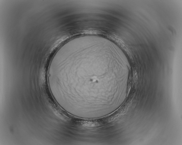 X0000112090347200909011109