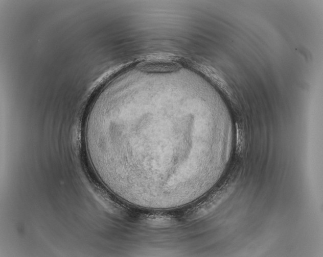 X0000112090348200909011109