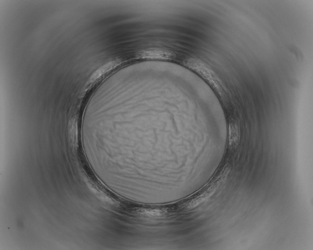 X0000112090349200909011109