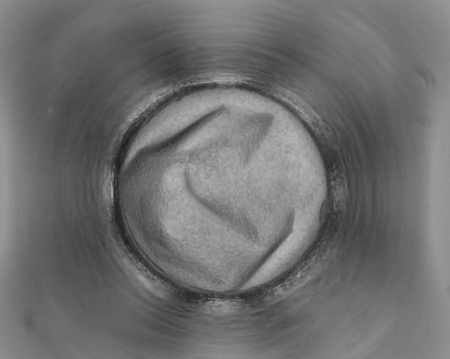 X0000112090350200909011109
