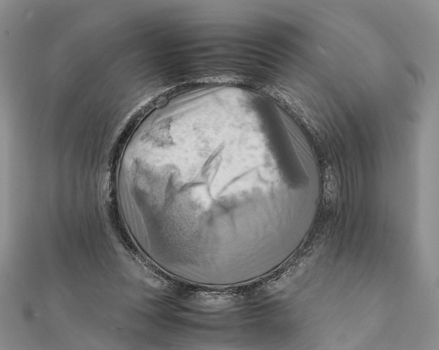 X0000112090351200909011109