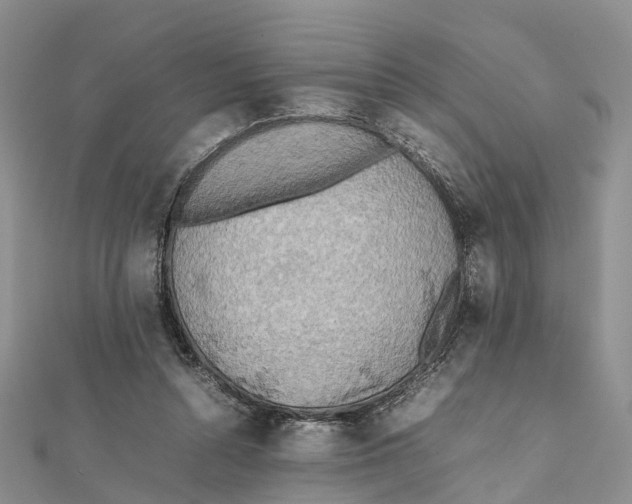 X0000112090352200909011109