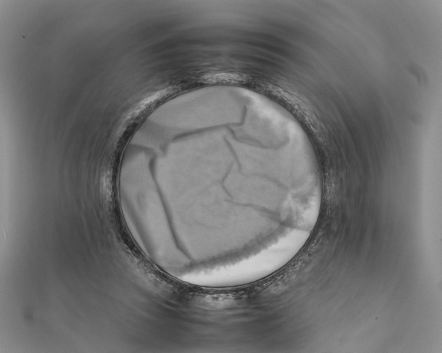 X0000112090353200909011109