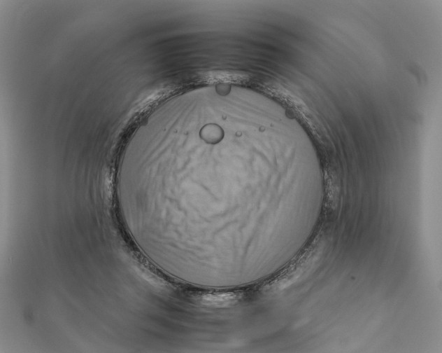 X0000112090357200909011109