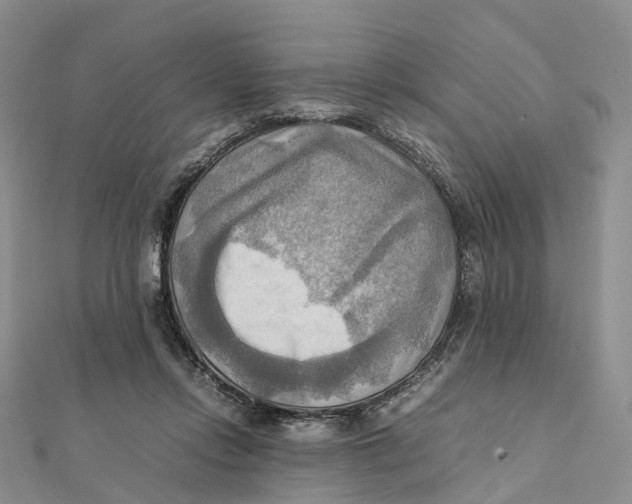 X0000112090358200909011109