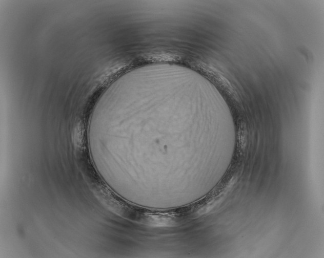 X0000112090359200909011109