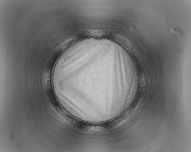 X0000112090360200909011109