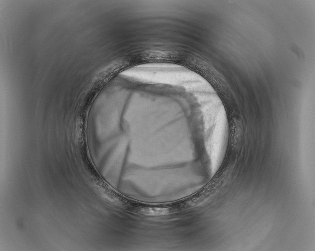 X0000112090361200909011109