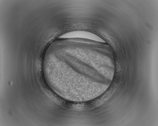 X0000112090362200909011109