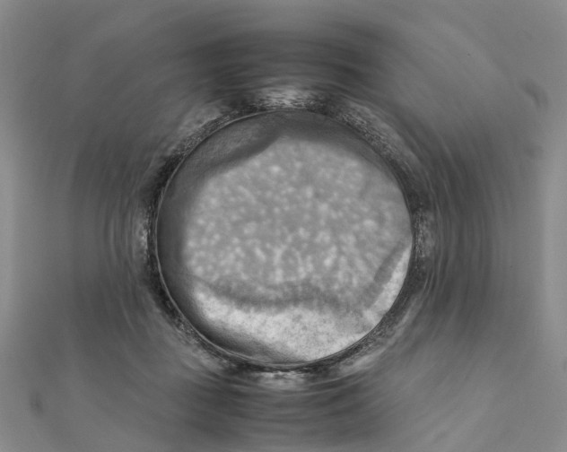 X0000112090363200909011109
