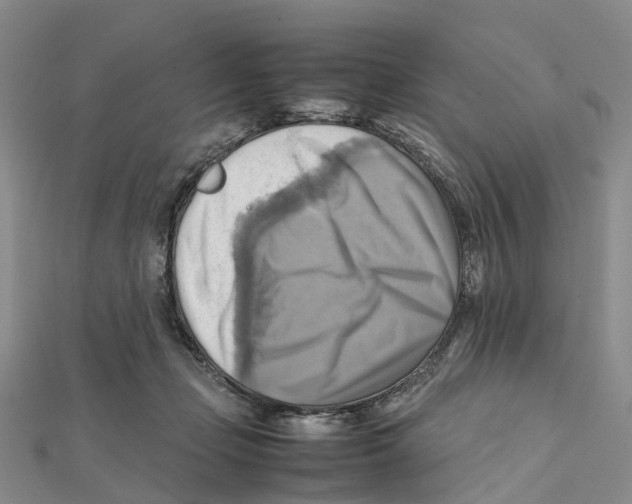X0000112090365200909011109